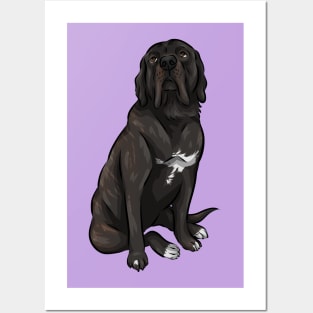 Cute English Mastiff Dog | Black Brindle Posters and Art